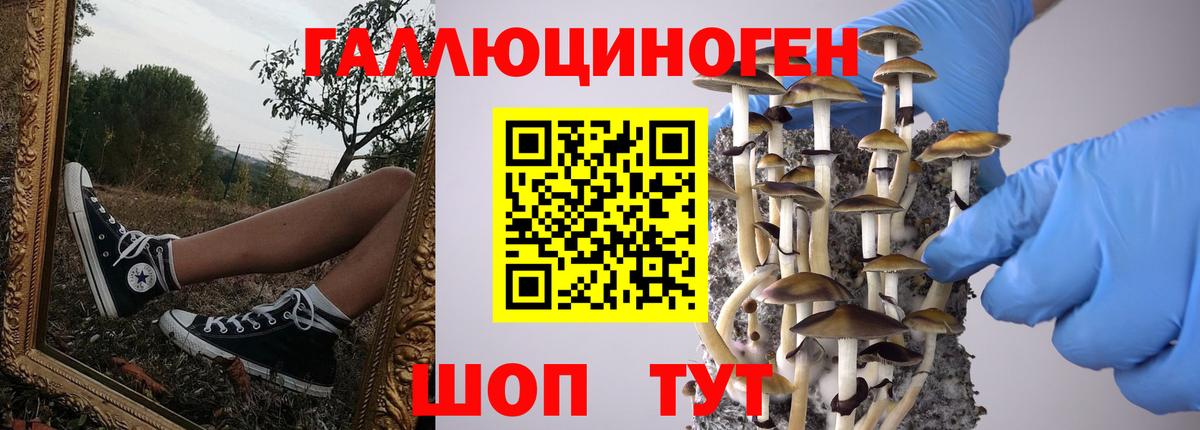 Псилоцибиновые грибы GOLDEN TEACHER Чусовой